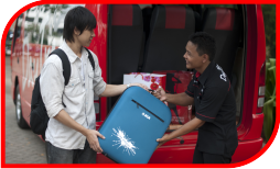 web services dt 3 courier